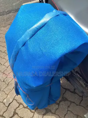 Shinning Blue Car Shade Nets