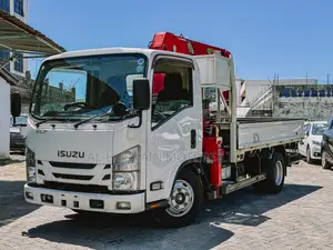 Isuzu Elf Crain