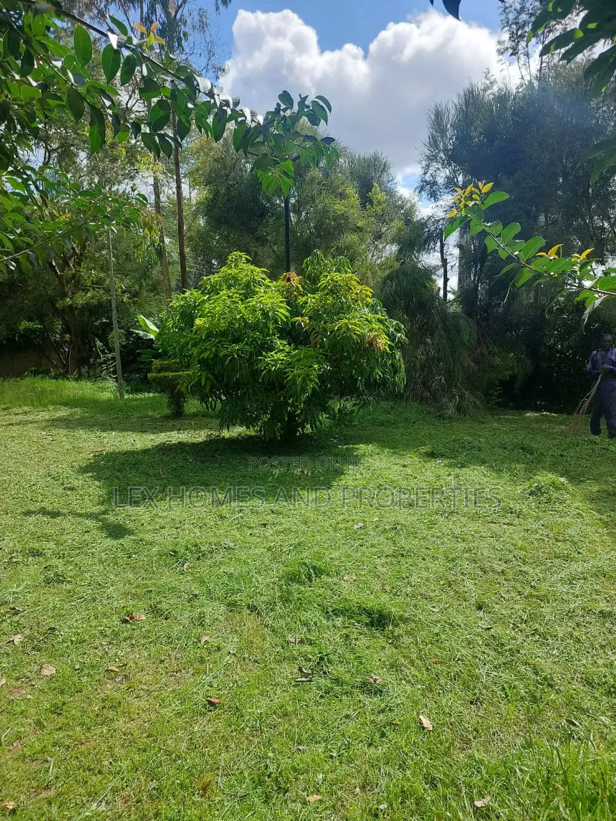 Quarter of an Acre in a Controlled Development Area