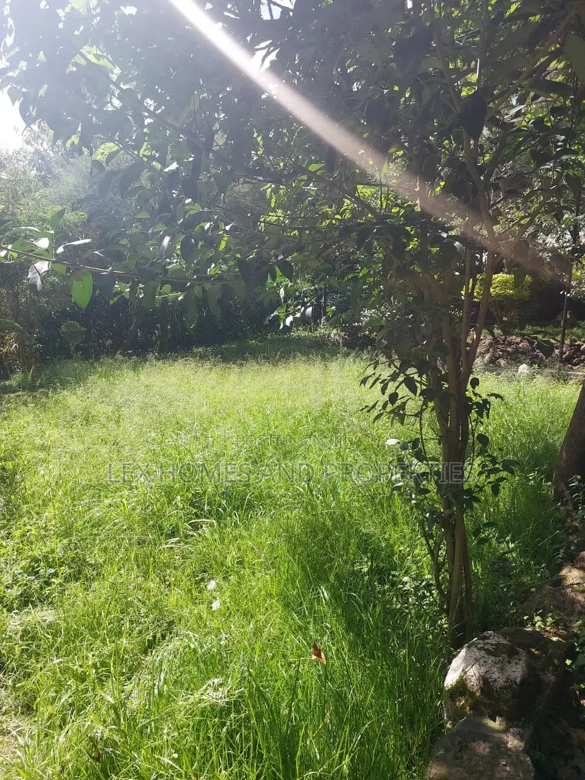 Quarter of an Acre in a Controlled Development Area