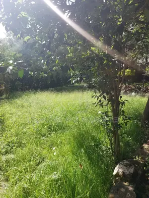 Quarter of an Acre in a Controlled Development Area