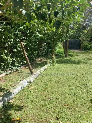 Quarter of an Acre in a Controlled Development Area