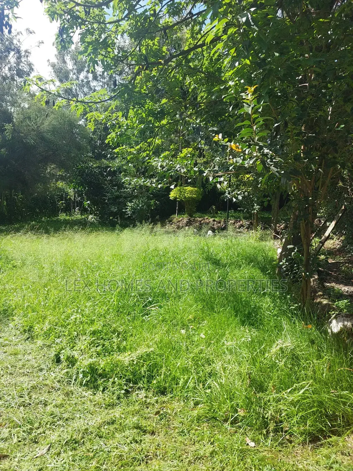 Quarter of an Acre in a Controlled Development Area
