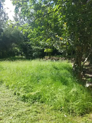 Quarter of an Acre in a Controlled Development Area