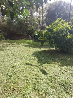 Quarter of an Acre in a Controlled Development Area
