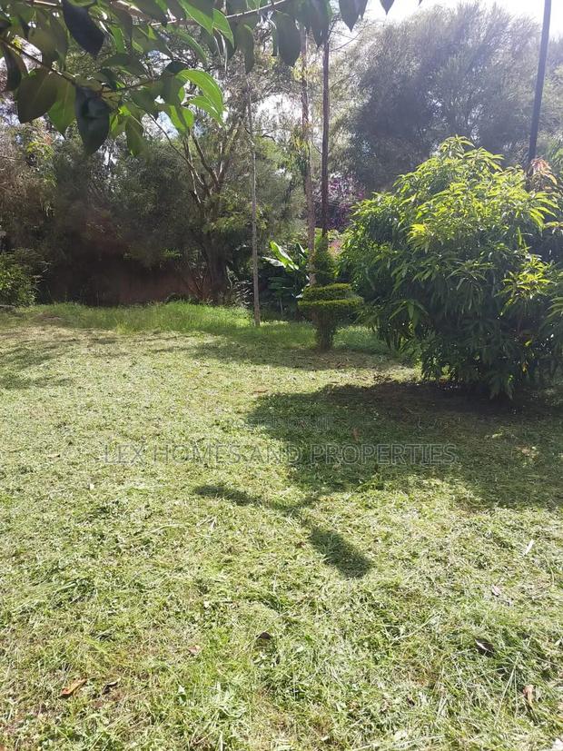 Quarter of an Acre in a Controlled Development Area - thumbnail 5