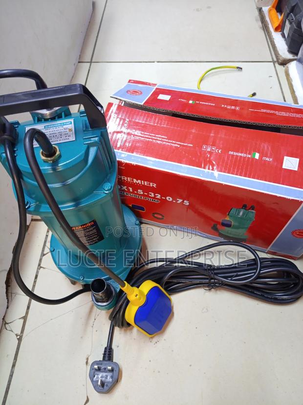Electric Water Pump / Submersible Water Pump 1hp