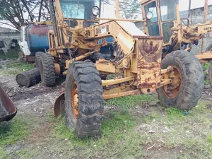 Cat Grader