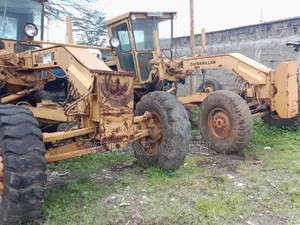 Cat Grader