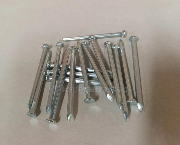 Steel Nails (3 Inches)