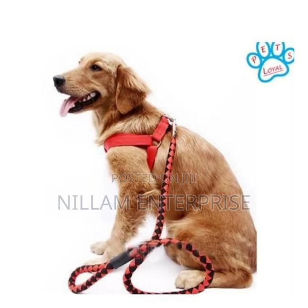 Dog Leash / Harness With Collar - thumbnail 3