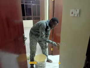 Wall Painting/Wall Master and Textures