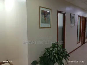 Wall Painting/Wall Master and Textures