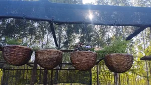 Thatched Hanging Basket With Flowers