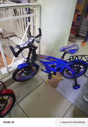 Bicycle, Premier Kids Bicycle Size 16