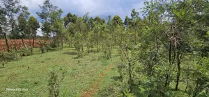 1 Acre for Sale in Mlango Near Ngara Falls Kapseret Eldoret