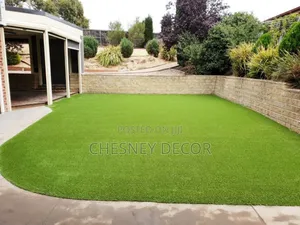 Syntheticc Lawn
