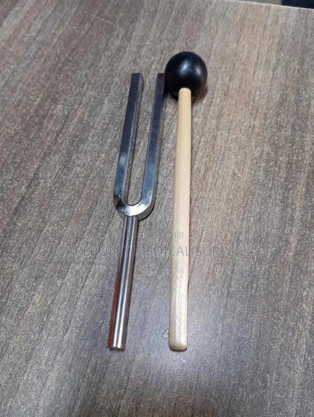 Tuning Fork - main view