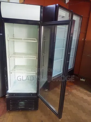 Elegant Display Fridge