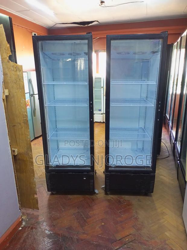 Elegant Display Fridge 400l - main view