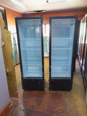 Elegant Display Fridge 400l