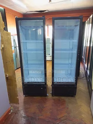 Elegant Display Fridge 400l