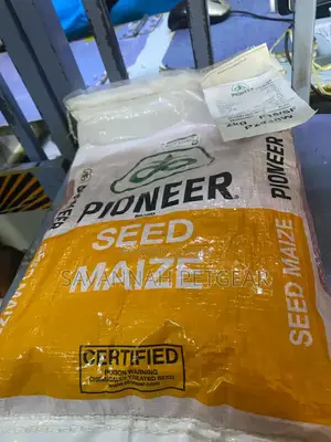 Pioneer Maize Seeds P2848w Early Maturing - 2kg