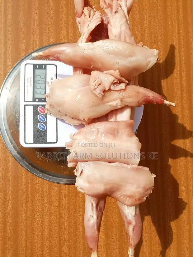 Fresh Rabbit Meat – Clean, Tender Always Fresh! - thumbnail 3
