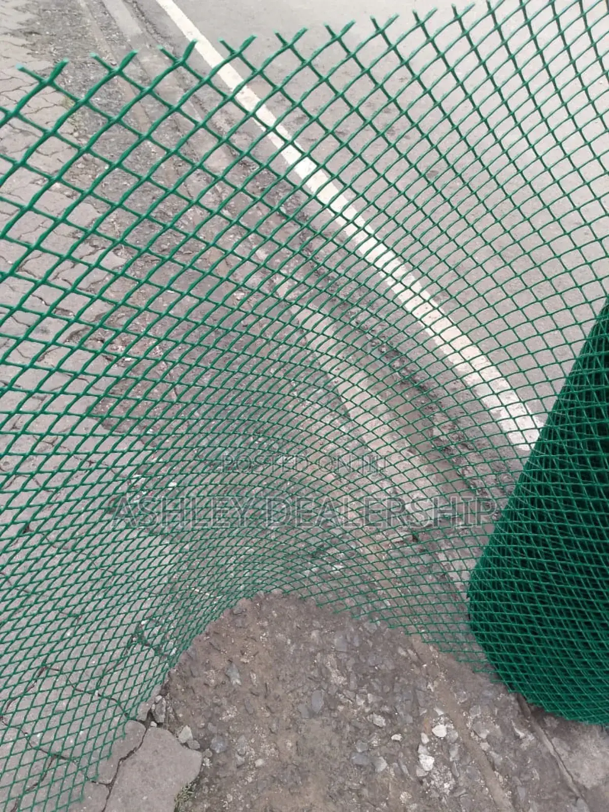 Green Plastic Chicken Mesh