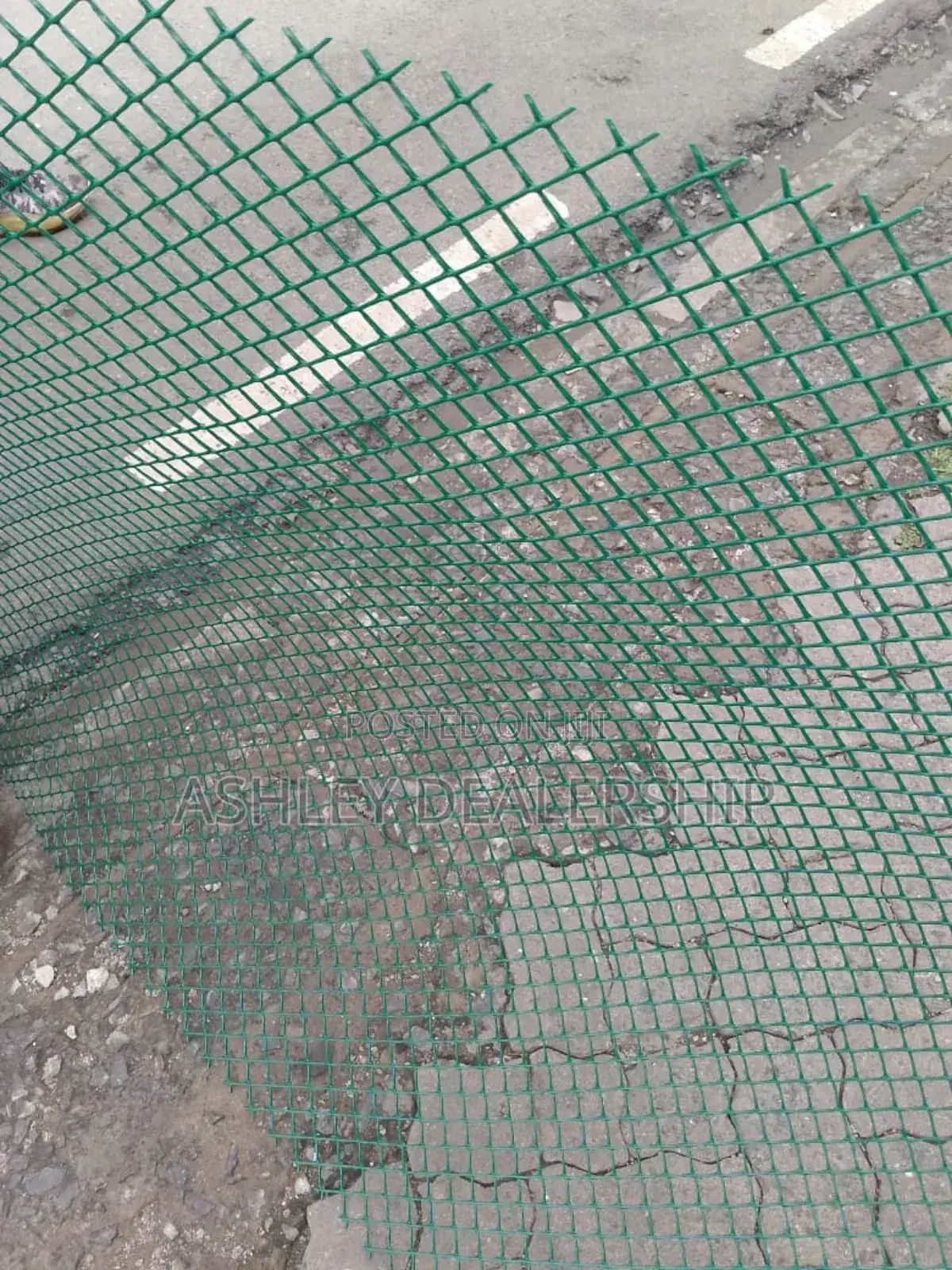 Plastic Chicken Mesh