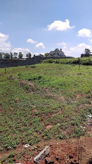 Toll, Twiga Estate 40x80 Plots.