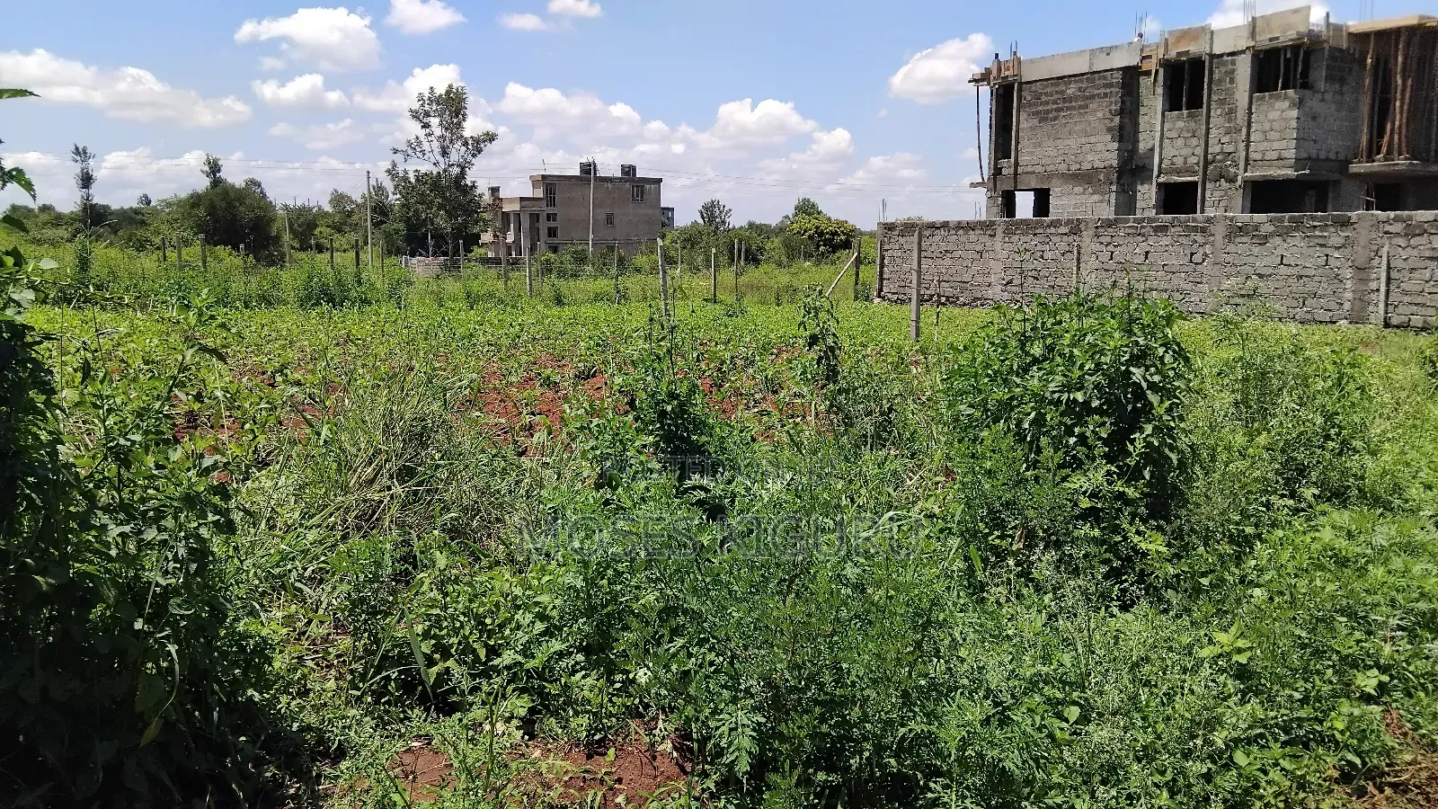 Toll, Twiga Estate 40x80 Plots.