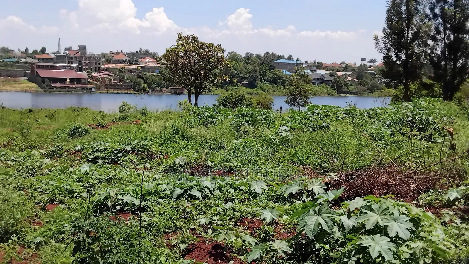 Toll, Twiga Estate 40x80 Plots.