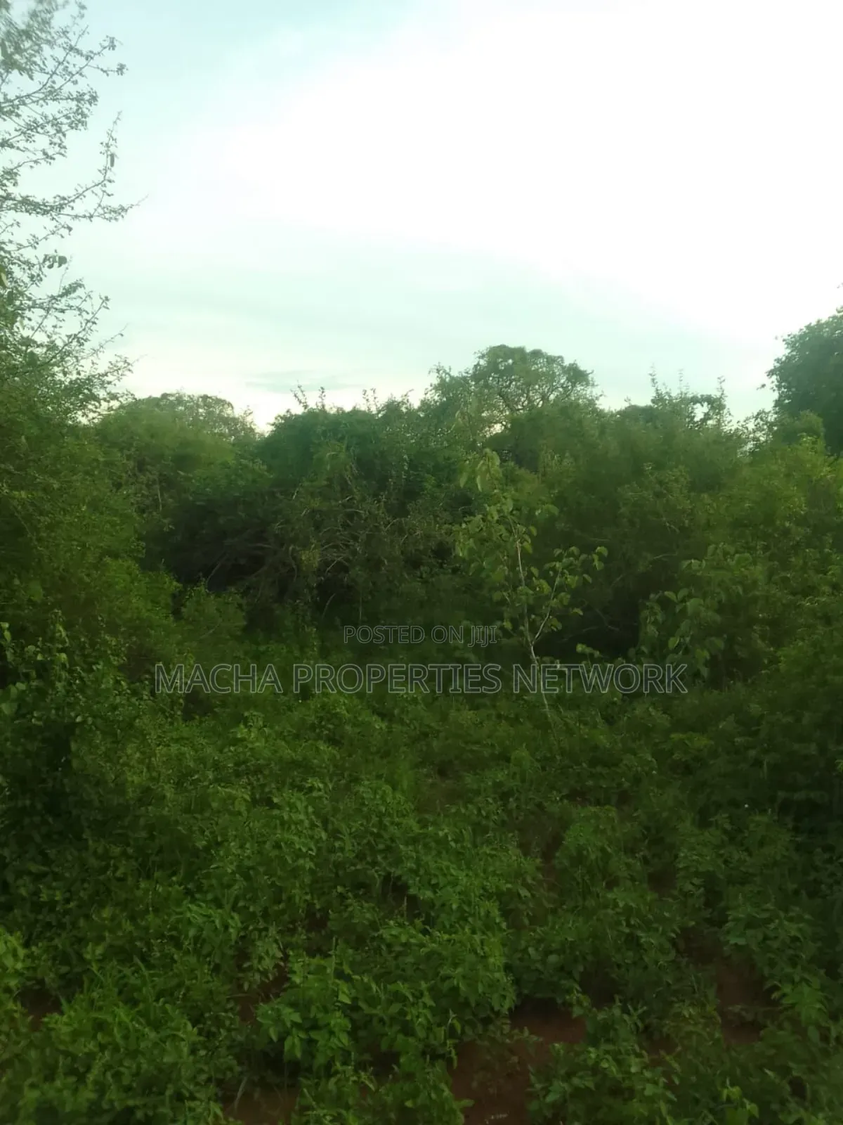 Makindu -makueni County 15 Acres Kes. Per Acre
