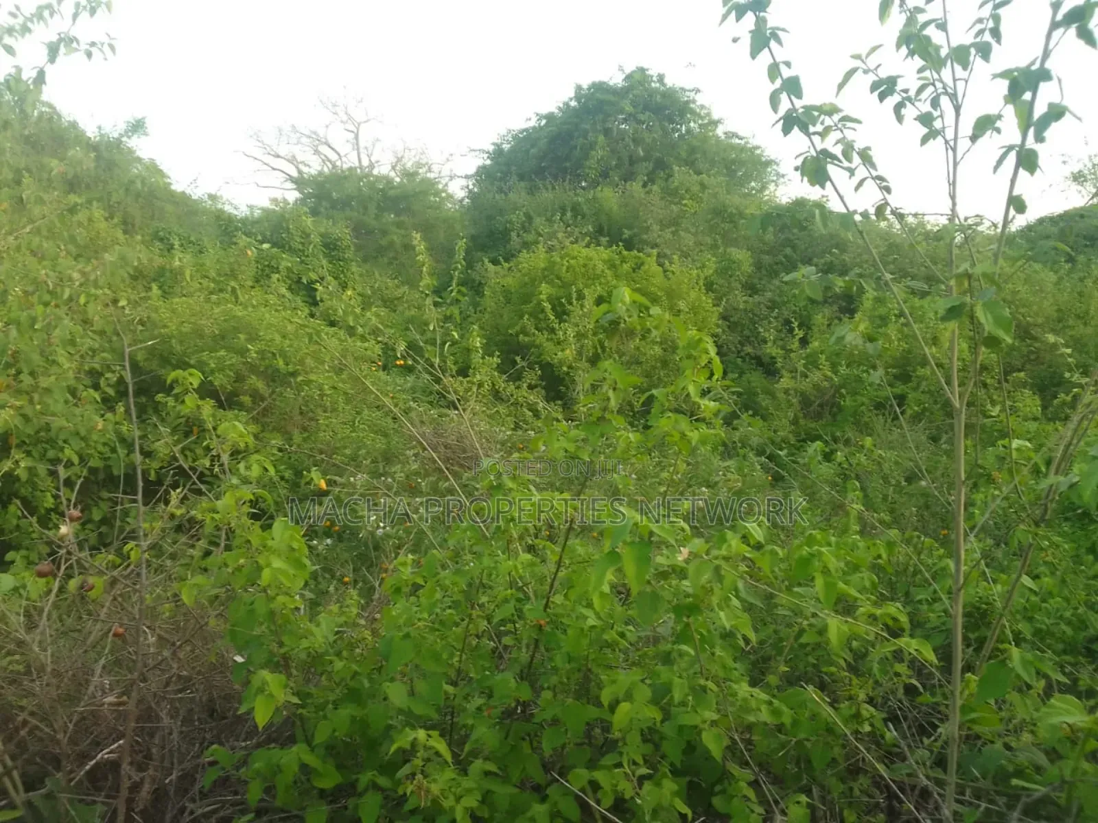 Makindu -makueni County 15 Acres Kes. Per Acre