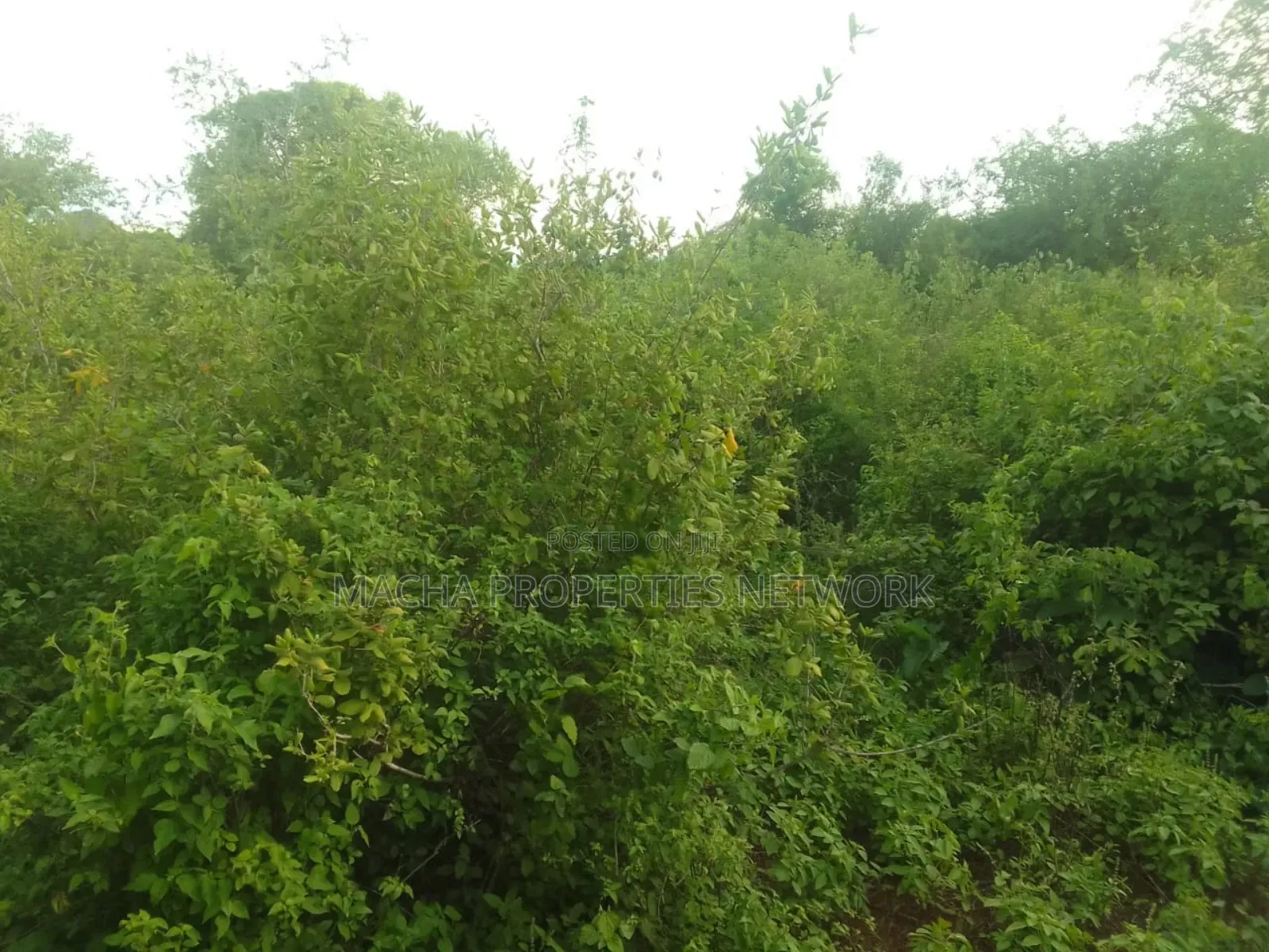 Makindu -makueni County 15 Acres Kes. Per Acre