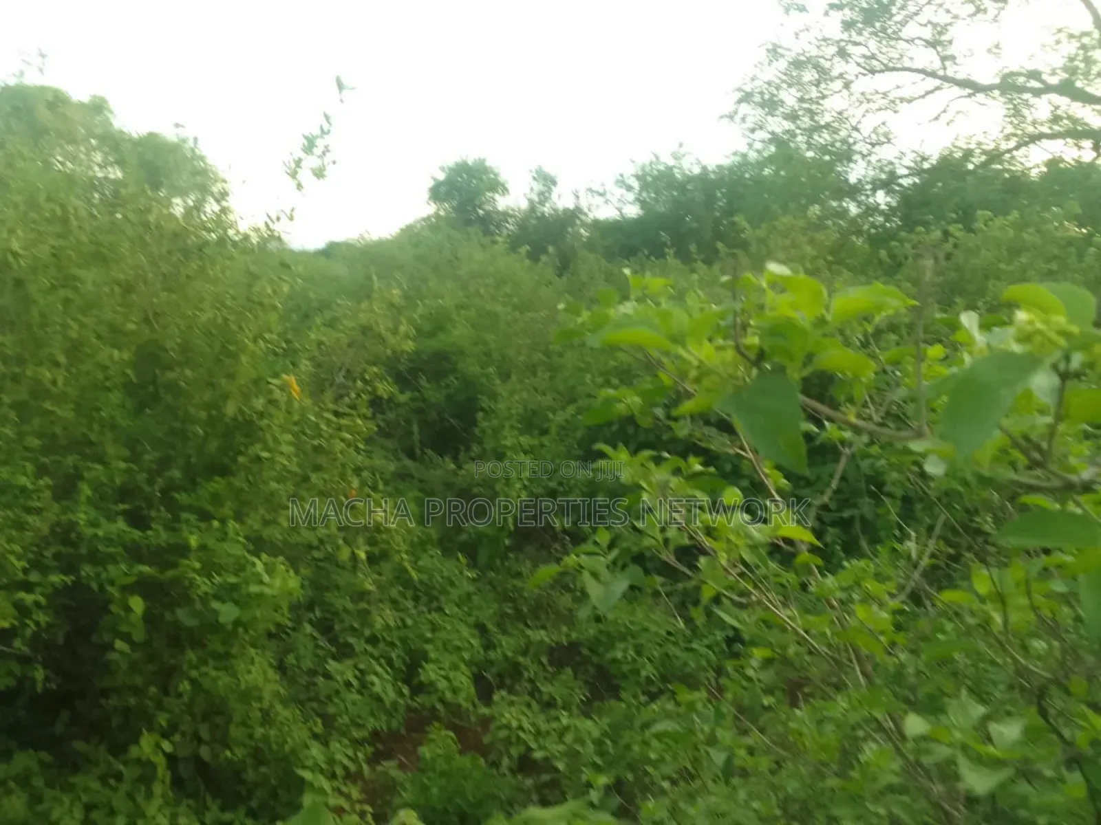 Makindu -makueni County 15 Acres Kes. Per Acre