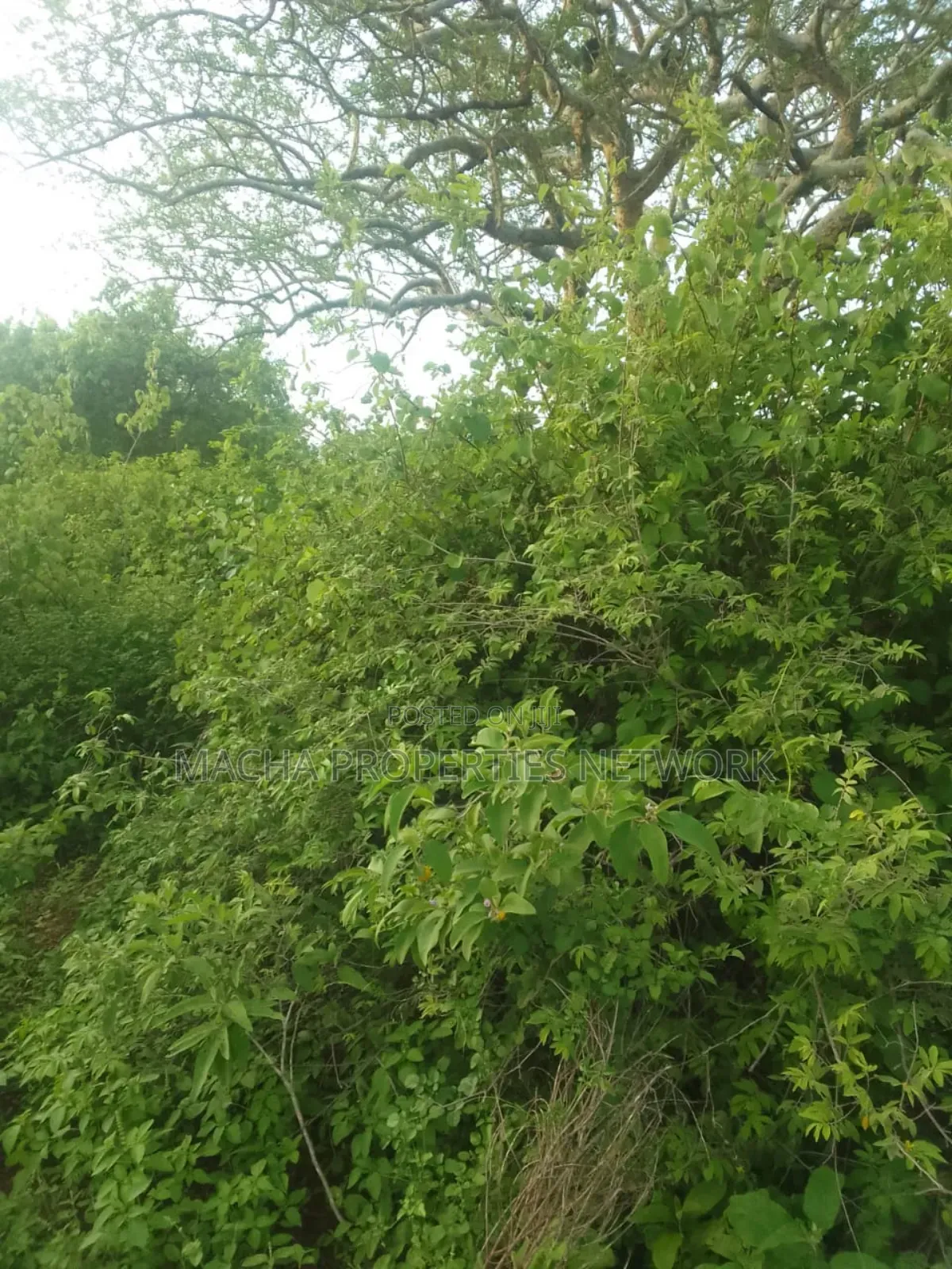 Makindu -makueni County 15 Acres Kes. Per Acre