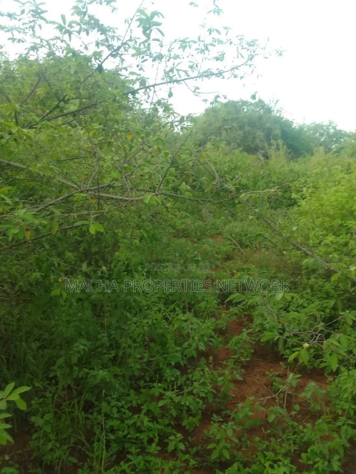 Makindu -makueni County 15 Acres Kes. Per Acre