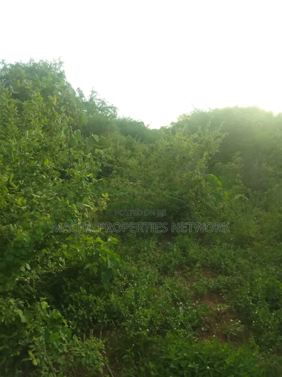 Makindu -makueni County 15 Acres Kes. Per Acre