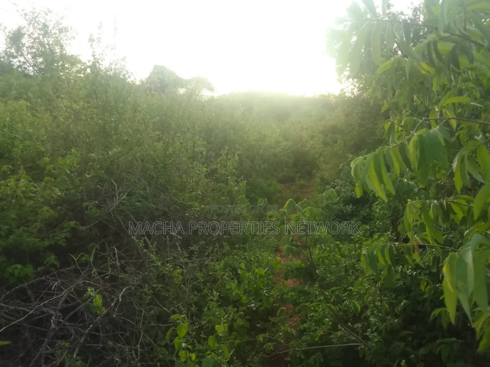 Makindu -makueni County 15 Acres Kes. Per Acre