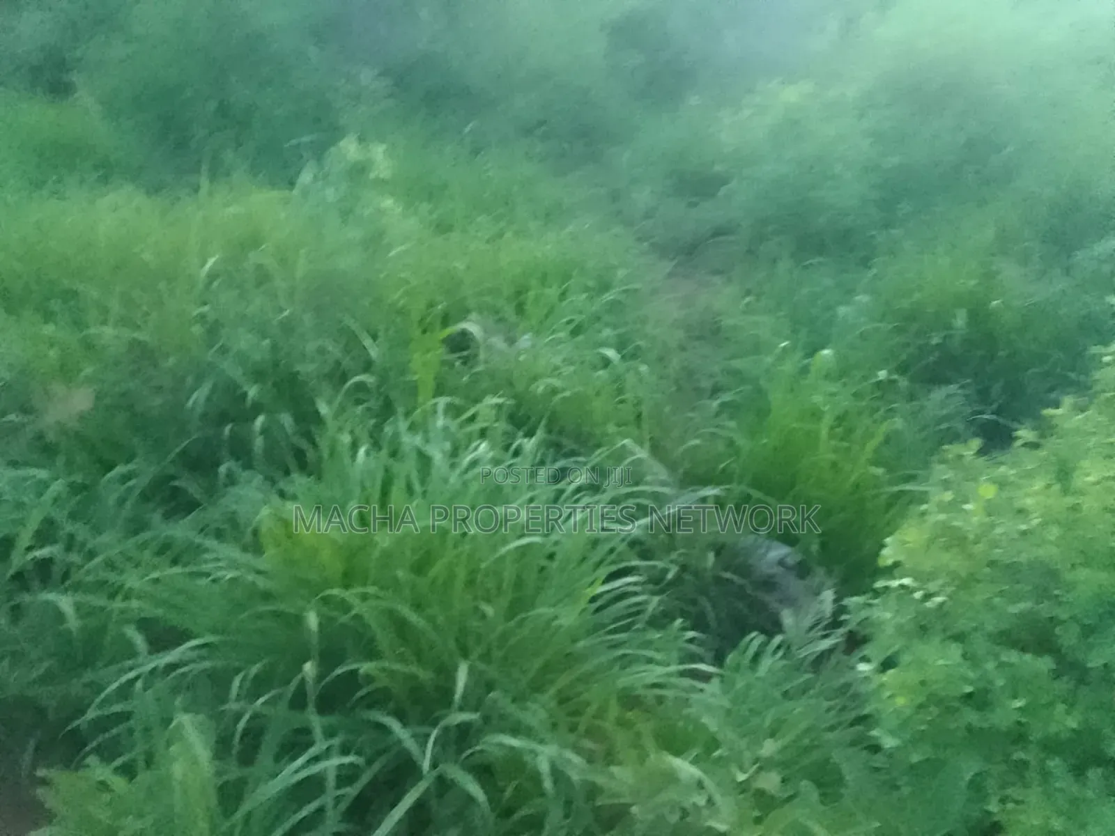 Makindu -makueni County 15 Acres Kes. Per Acre