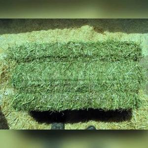 Hay for Livestock Feed - main view