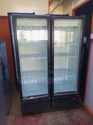 Elegant Display Fridge/400l Smart and Neat
