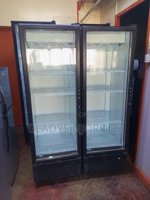 Elegant Display Fridge/400l Smart and Neat