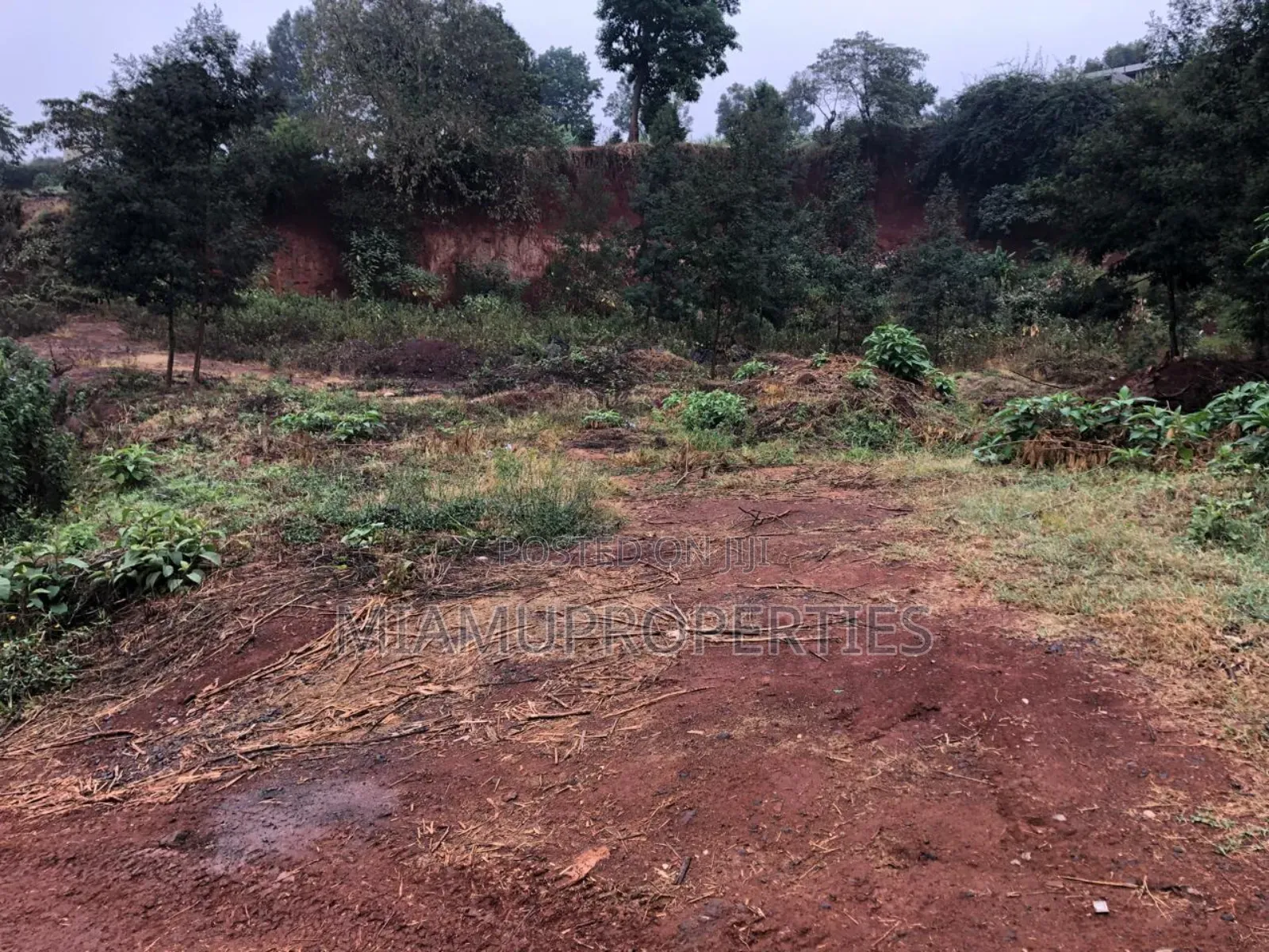 Prime Plot 1/4 Acre for Sale Muhuri Road Kinoo