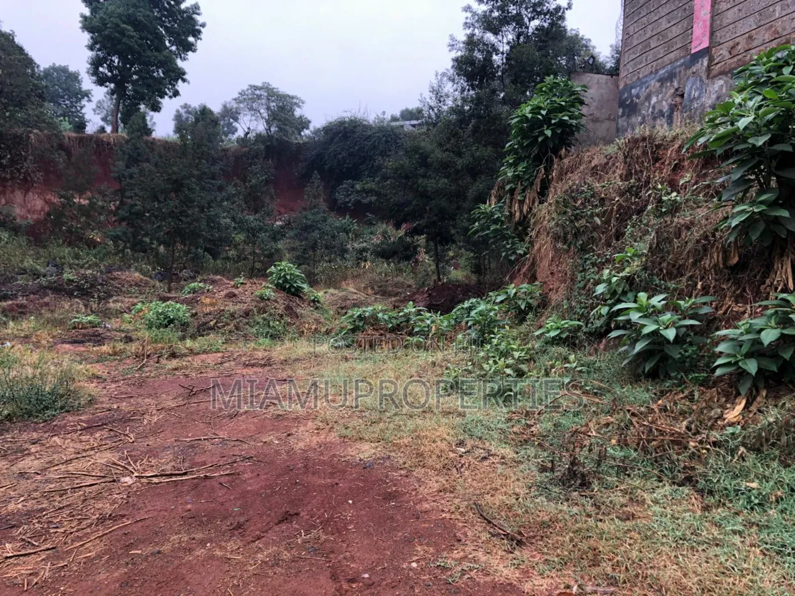 Prime Plot 1/4 Acre for Sale Muhuri Road Kinoo