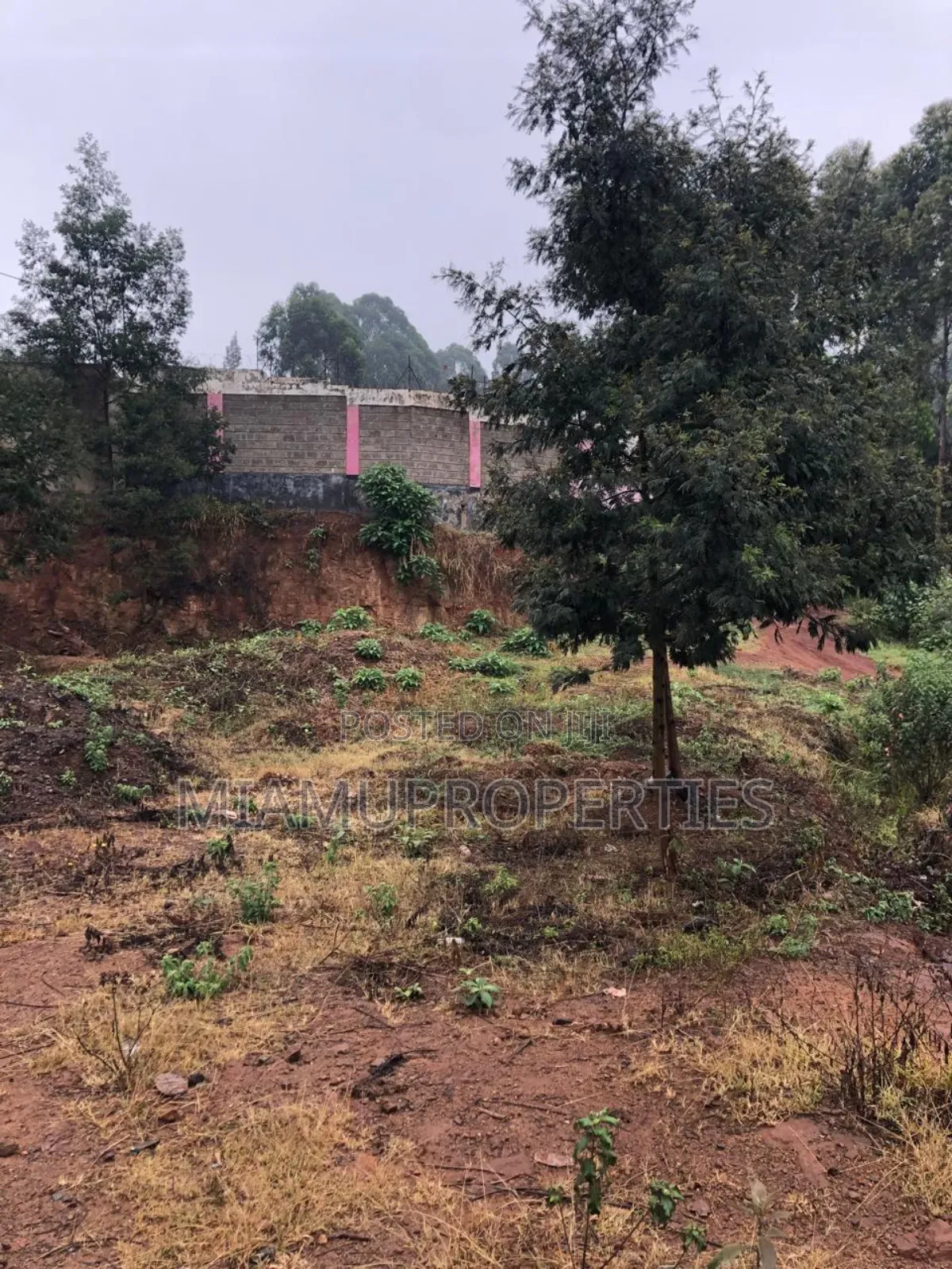 Prime Plot 1/4 Acre for Sale Muhuri Road Kinoo