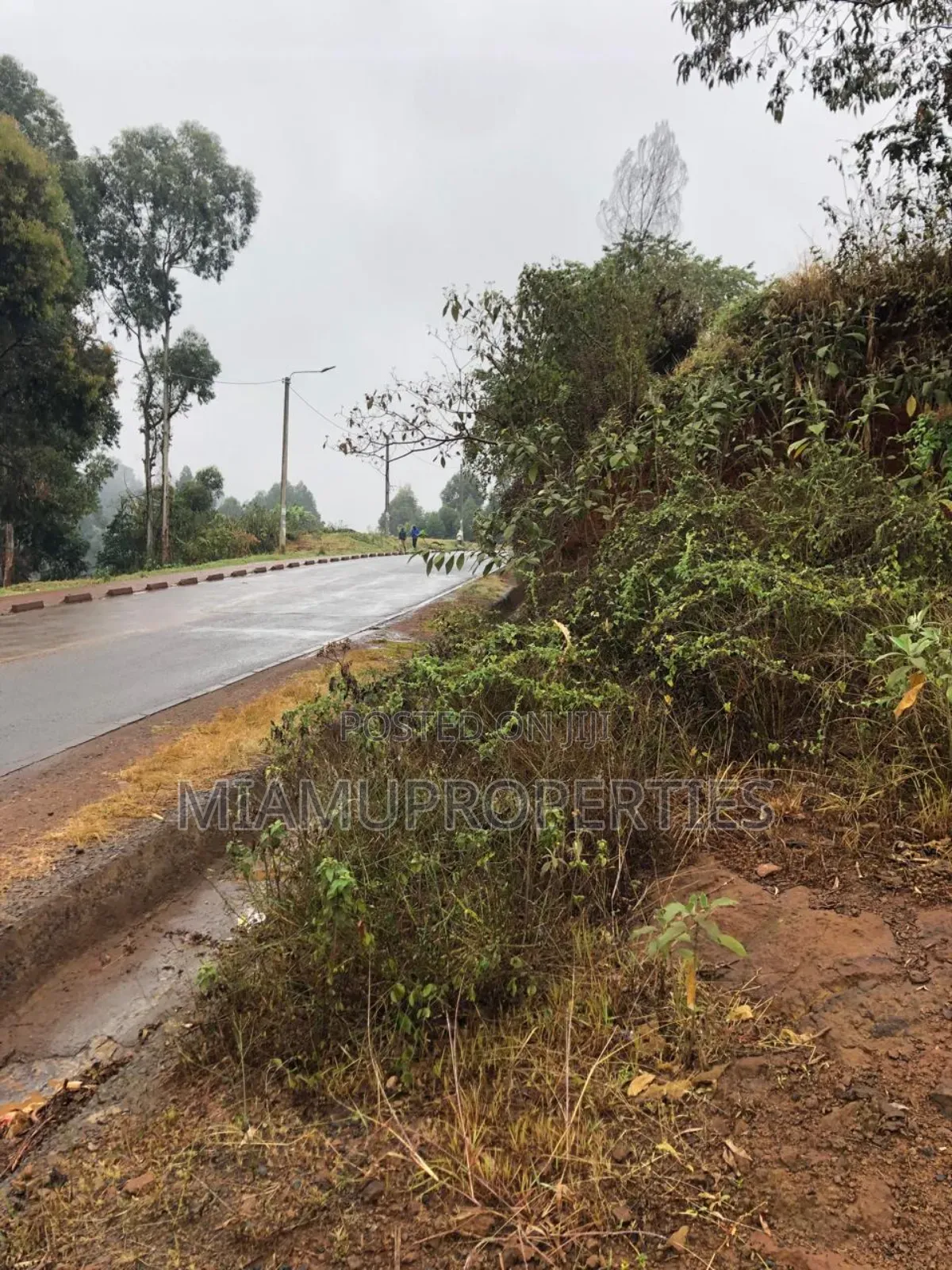 Prime Plot 1/4 Acre for Sale Muhuri Road Kinoo