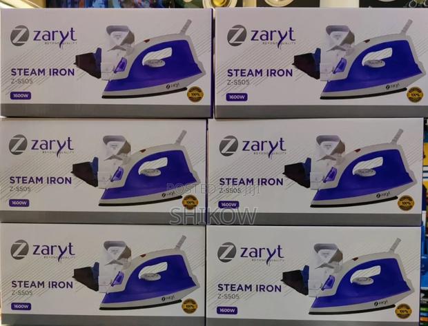 Zaryt Steam Iron Zaryt - main view